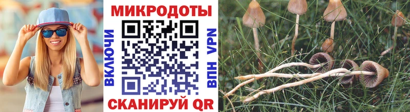 кракен маркетплейс  Заречный  Галлюциногенные грибы Magic Shrooms 
