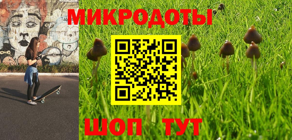 Заречный  Галлюциногенные грибы Psilocybine cubensis  Вход с VPN 