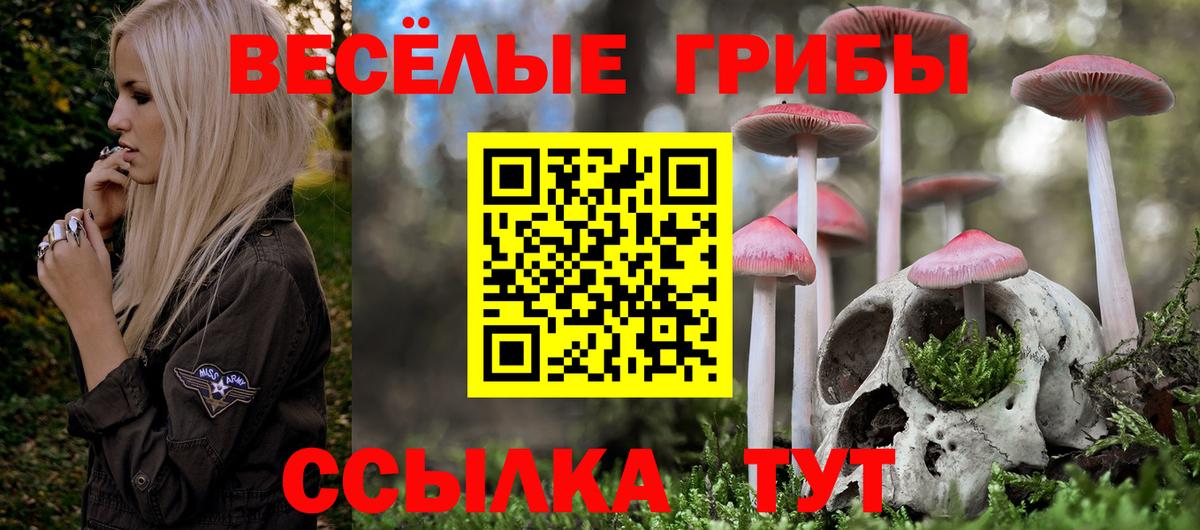Псилоцибиновые грибы мухоморы Заречный